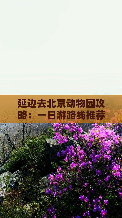 延边去北京动物园攻略：一日游路线推荐