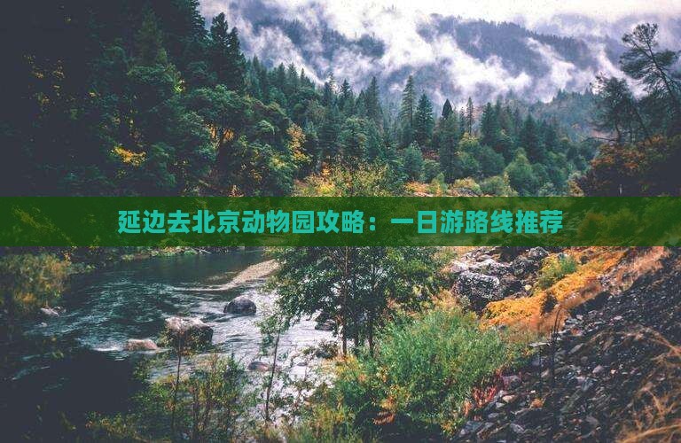 延边去北京动物园攻略：一日游路线推荐