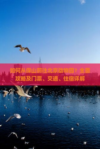 如何从保山前往北京动物园？全面攻略及门票、交通、住宿详解
