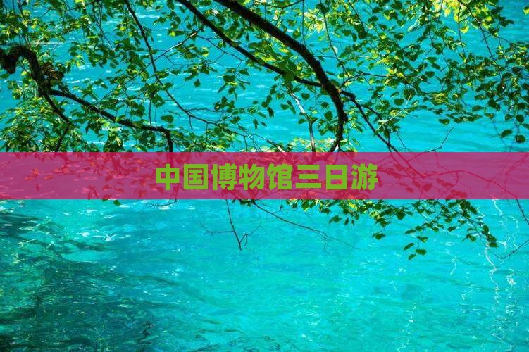 中国博物馆三日游