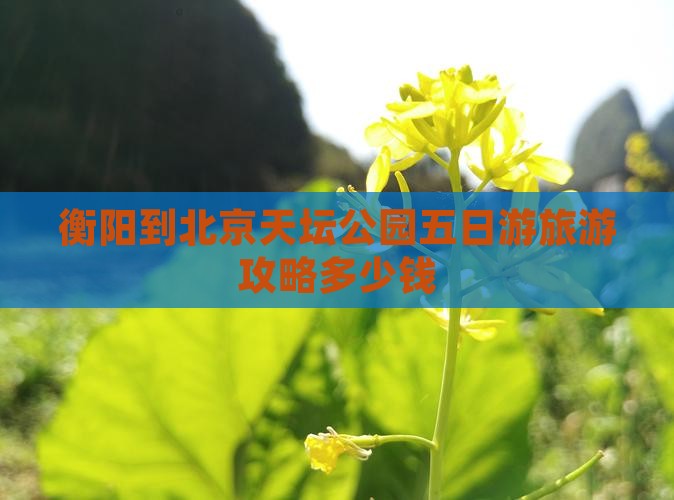衡阳到北京天坛公园五日游旅游攻略多少钱