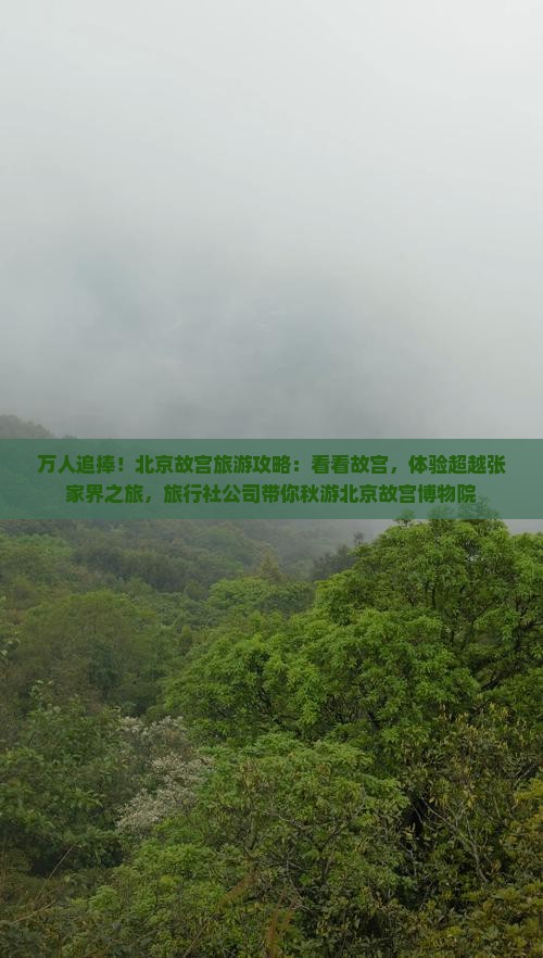 万人追捧！北京故宫旅游攻略：看看故宫，体验超越张家界之旅，旅行社公司带你秋游北京故宫博物院