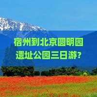 宿州到北京圆明园遗址公园三日游？周末怕无聊？快上车！