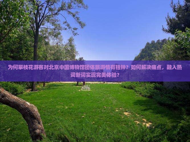 为何攀枝花游客对北京中国博物馆团体旅游情有独钟？如何解决痛点，融入热词新词实现完美体验？