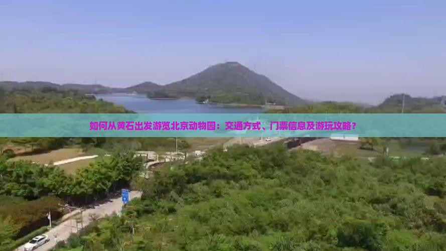 如何从黄石出发游览北京动物园：交通方式、门票信息及游玩攻略？