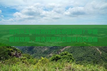 如何从玉树高效往返北京颐和园？掌握最新攻略，解决高原到古园林的交通痛点！