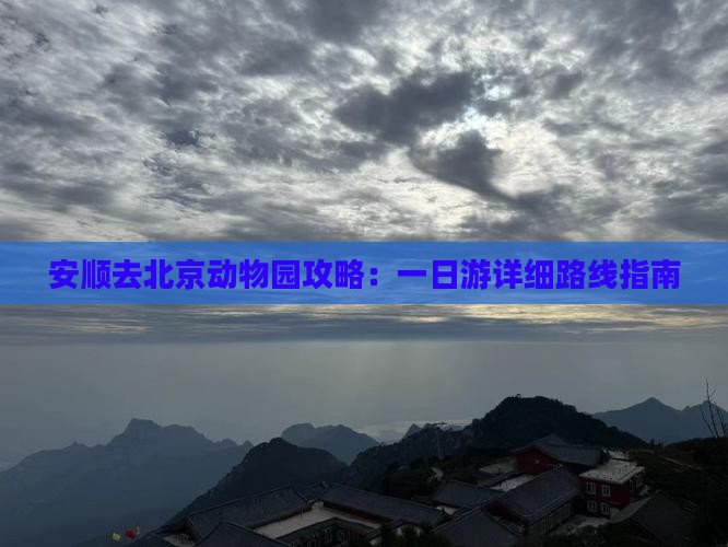 安顺去北京动物园攻略：一日游详细路线指南