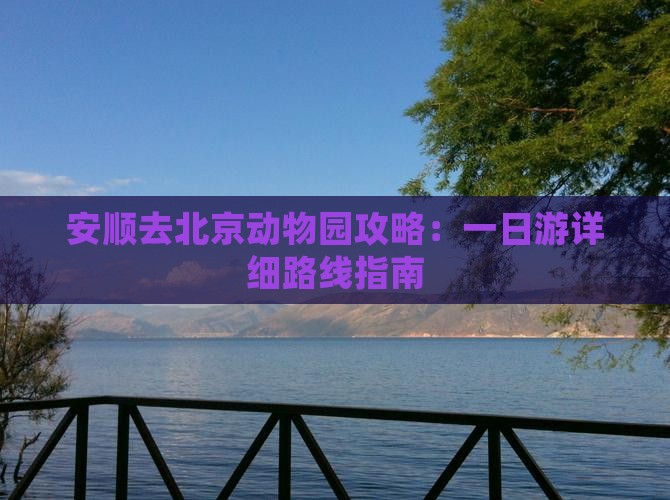 安顺去北京动物园攻略：一日游详细路线指南