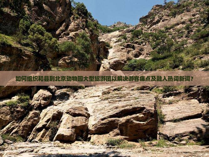 如何组织和县到北京动物园大型旅游团以解决游客痛点及融入热词新词？