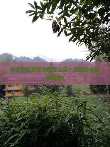 本溪到北京动物园怎么玩？沿途必去地有哪些？