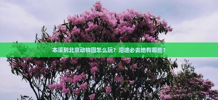 本溪到北京动物园怎么玩？沿途必去地有哪些？