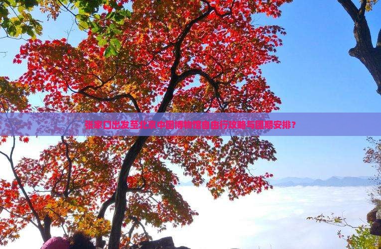 张家口出发至北京中国博物馆自由行攻略与团期安排？