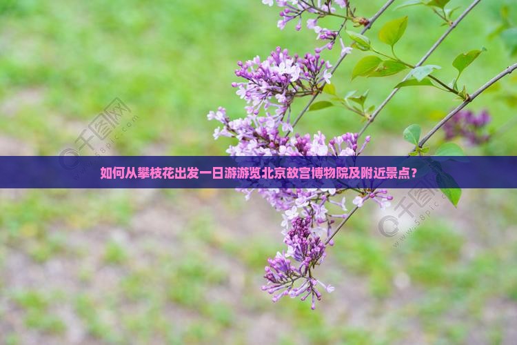 如何从攀枝花出发一日游游览北京故宫博物院及附近景点？