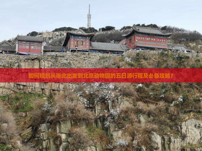 如何规划从张北出发到北京动物园的五日游行程及必备攻略？