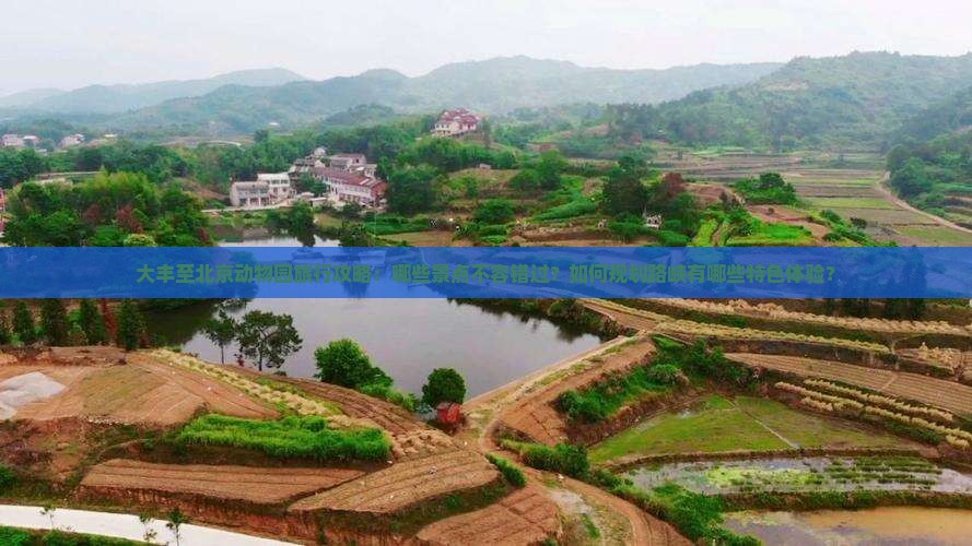 大丰至北京动物园旅行攻略：哪些景点不容错过？如何规划路峡有哪些特色体验？