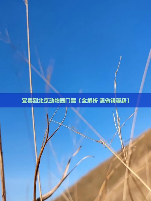 宜宾到北京动物园门票
