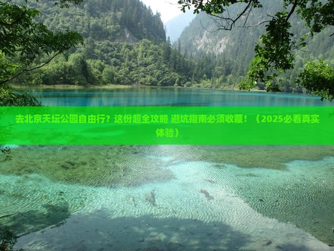 来宾去北京天坛公园自由团