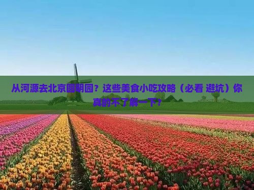 河源到北京圆明园遗址公园旅游小吃
