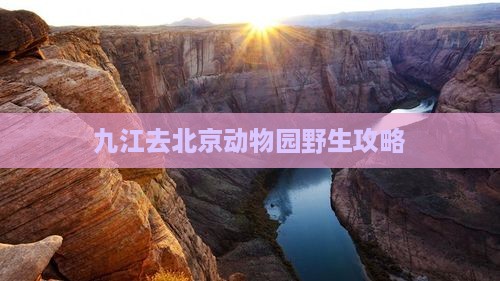九江去北京动物园攻略
