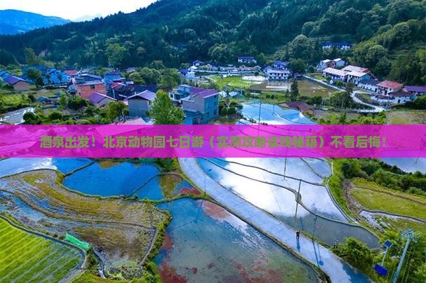 酒泉去北京动物园七日游