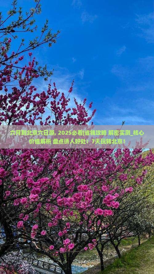 六月到北京六日游