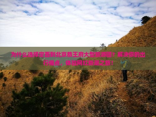 定西到北京恭王府大型旅游团
