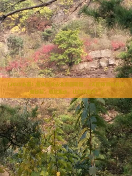 包头去北京圆明园遗址公园团体旅游