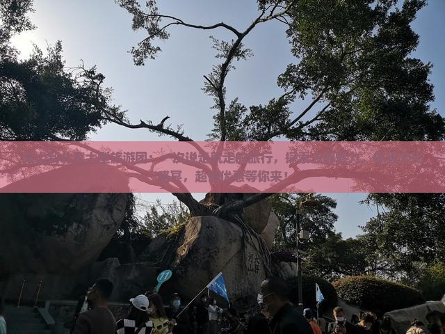 文山到北京大型旅游团