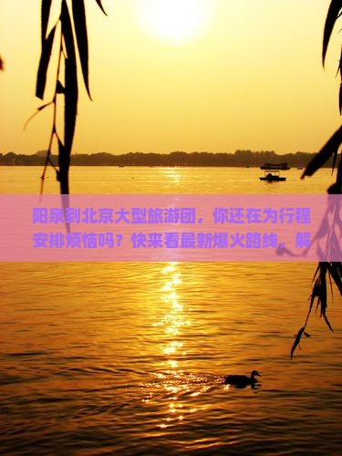 阳泉到北京大型旅游团