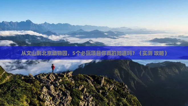 文山去北京动物园哪里玩
