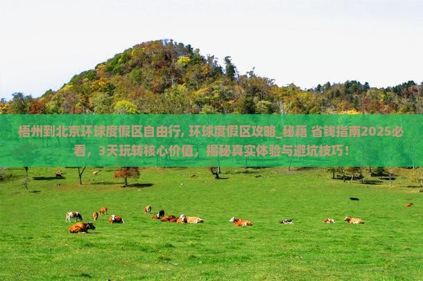梧州到北京环球度假区自由行