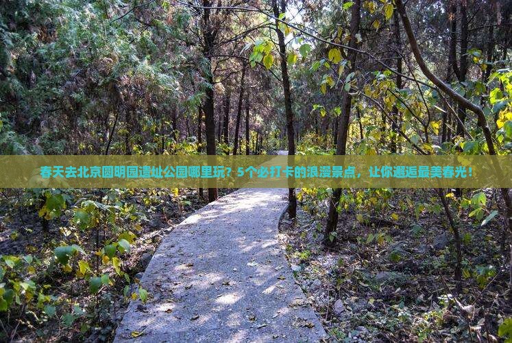 春天去北京圆明园遗址公园哪里玩