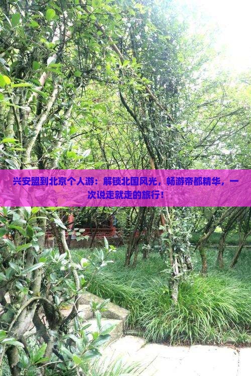 兴安盟到北京个人游