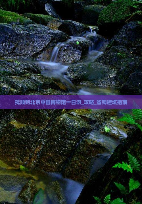 抚顺到北京中国国家博物馆一日游