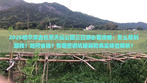 哈尔滨去北京天坛公园三日游