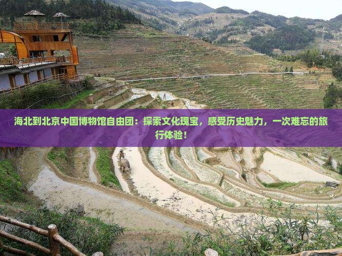 海北到北京中国国家博物馆自由团