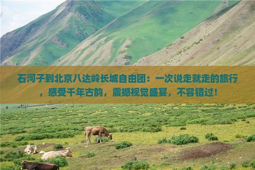 石河子到北京八达岭长城自由团