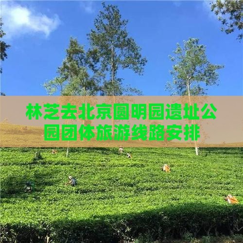 林芝去北京圆明园遗址公园团体旅游