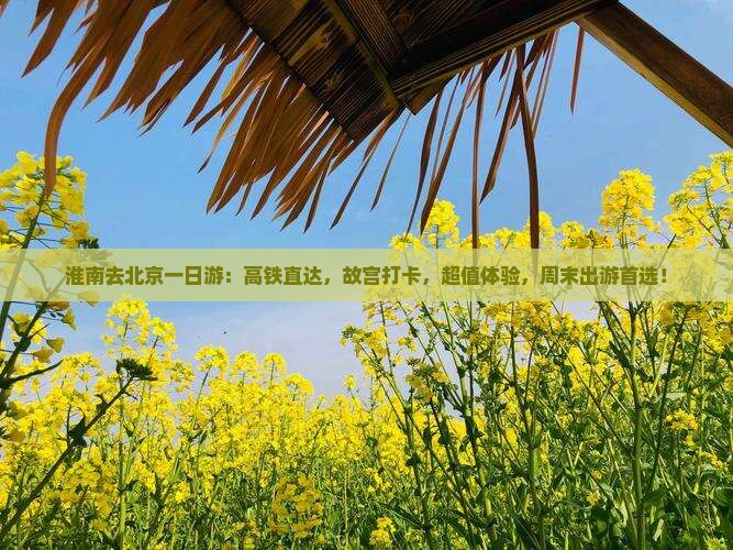 淮南去北京一日游
