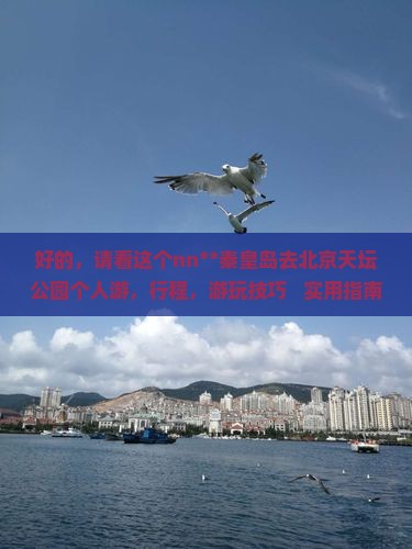 秦皇岛去北京天坛公园个人游
