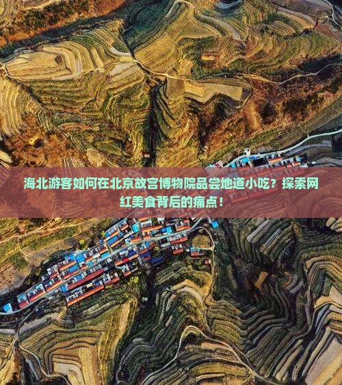 海北游客如何在北京故宫博物院品尝地道小吃？探索网红美食背后的痛点！
