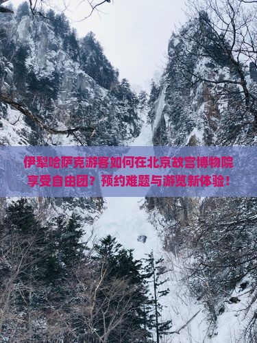 伊犁哈萨克游客如何在北京故宫博物院享受自由团？预约难题与游览新体验！