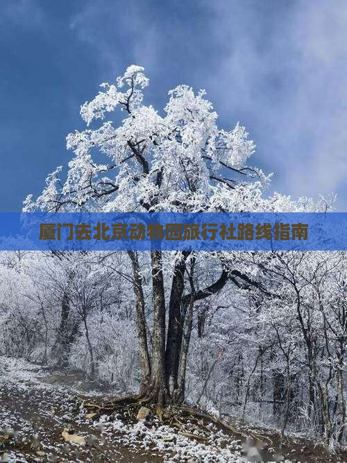厦门去北京动物园旅行社路线指南