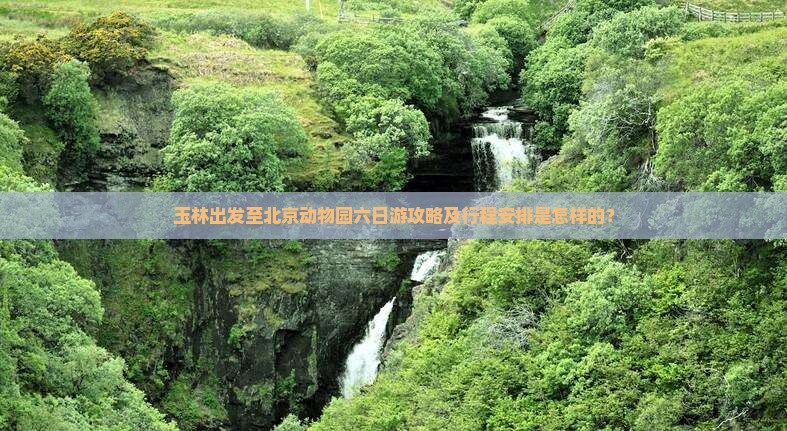 玉林出发至北京动物园六日游攻略及行程安排是怎样的？