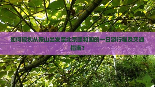 如何规划从鞍山出发至北京颐和园的一日游行程及交通指南？