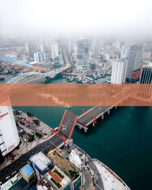为何本溪游客独爱北京圆明园遗址公园个人游？如何避开人潮，解锁沉浸式体验新姿势？