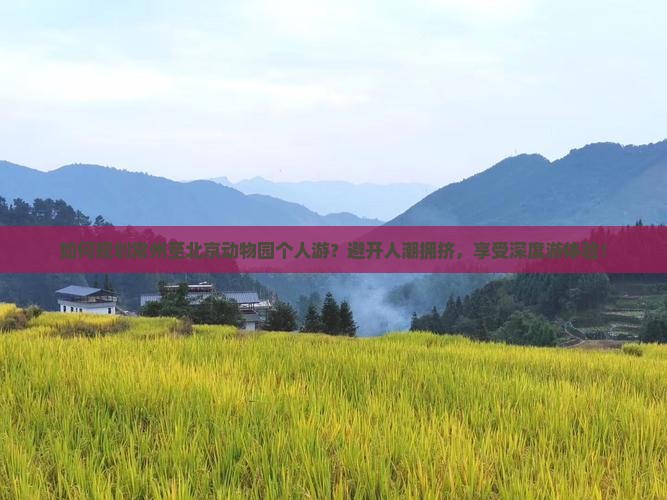 如何规划常州至北京动物园个人游？避开人潮拥挤，享受深度游体验！