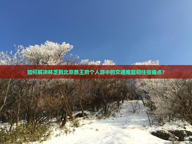 如何解决林芝到北京恭王府个人游中的交通难题和住宿痛点？