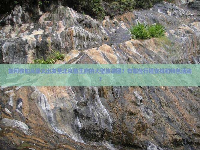 如何参加从遵义出发至北京恭王府的大型旅游团?有哪些行程安排和特色活动? 如何参加从遵义出发至北京恭王府的大型旅游团?有哪些行程安排和特色活动?