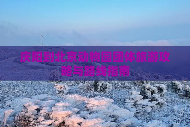 庆阳到北京动物园团体旅游攻略与路线指南